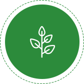 freshness and life icon